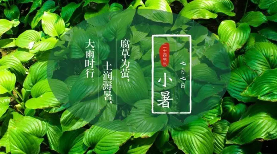 小暑時節(jié)來到！金環(huán)電器提醒大家要注意的事項(xiàng)